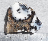 Mexican Dendritic Opal Slab 45