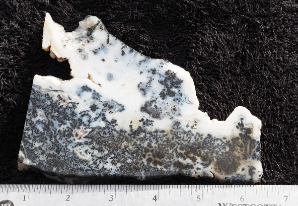 Medicine Bow Plume Agate Rock Slab 09 – DD Rocks