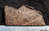 Copper Slab 12