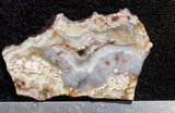 Laguna Lace Agate Slab 72