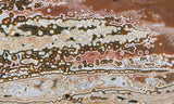 Ocean Jasper Rock slab 01