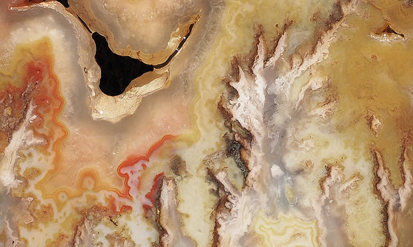 【コレクターズアイテム】グレイブヤード・ポイント・プルームアゲート Graveyard Point Plume Agate Lexx Stones | Lexx Stones