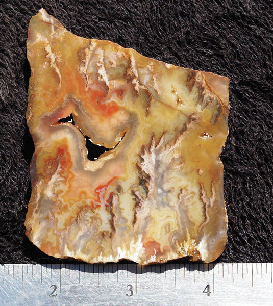 Graveyard Point Plume Agate Rock slab 0103 DD Rocks