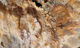 Graveyard Point Plume Agate Rock slab 0202