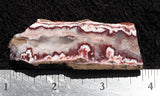 Forest Fire Plume Agate Rock Slab 09