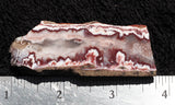 Forest Fire Plume Agate Rock Slab 09