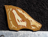 Owyhee Jasper Rock Slab 0023