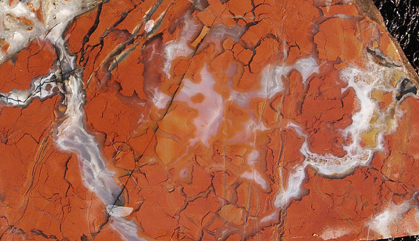 P6276563a_grande.jpg?v=1535328669