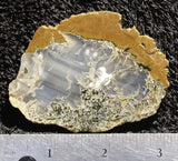 Priday Plume Agate  Rock slab 65