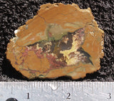 Priday Plume Agate  Rock slab 68