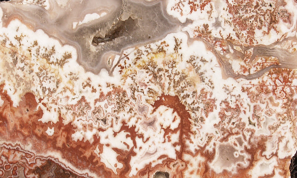 Rosetta Lace Rock Slab 09 – DD Rocks