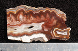 Laguna Lace Agate Slab 0102