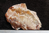 Laguna Lace Agate Slab 77