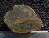Priday Plume Agate  Rock Specimen 78