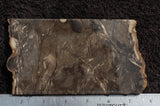 Indonesian Feather Agate Rock Slab 5