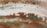 Ocean Jasper Rock slab 0105