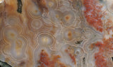 Ocean Jasper Rock slab 0206