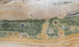 Ocean Jasper Rock slab 0205