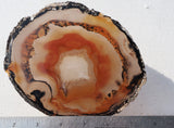 Brazilian Agate Polished Rock slab 0033
