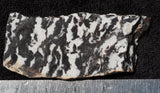 Zebra Lace Agate Rock Slab 24