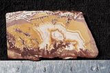 Sonoran Dendritic Rhyolite Rock slab 43