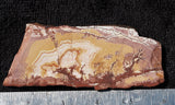 Sonoran Dendritic Rhyolite Rock slab 42