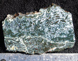 Oregon Moss Agate Rock Slab 11
