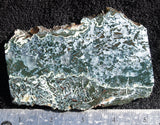 Oregon Moss Agate Rock Slab 11