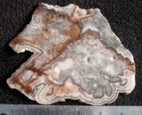 Laguna Lace Agate Slab 68