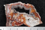 Laguna Lace Agate Slab 04