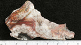 Laguna Lace Agate Slab 01