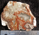 Laguna Lace Agate Slab 29