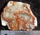 Laguna Lace Agate Slab 29