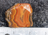 Condor Agate Rock slab 0016