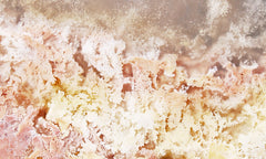 Feather Ridge Plume Agate