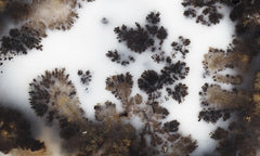 Mexican Dendritic Opal