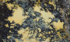 Australian Dendritic Opal