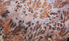 Texas Plume Agate