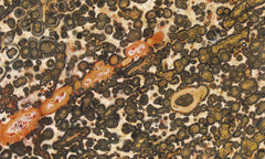 Leopard Skin Jasper