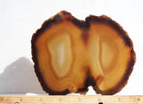 Brazilian Agate Rock Slab 195