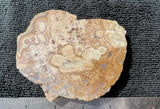 Bargain Bin E Slab 274