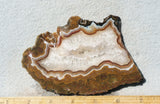Agua Nueva Agate Rock Slab 96