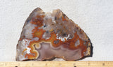 Agua Nueva Agate Rock Slab 90