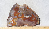 Agua Nueva Agate Rock Slab 90