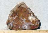 Agua Nueva Agate Rock Slab 94