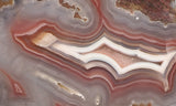 Agua Nueva Agate Rock Slab 89