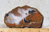 Agua Nueva Agate Rock Slab 97