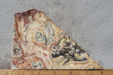 Curiosity Shop Rock Slab 476