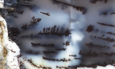 Australian Dendritic Opal Rock Slab 43