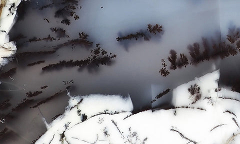 Australian Dendritic Opal Rock Slab 45